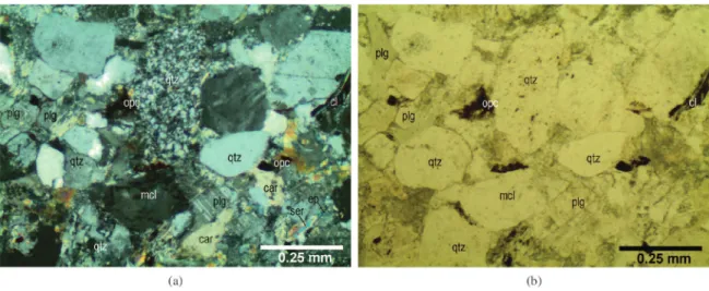 Figure 6. View of microcrystalline quartz subgrains formed by recrystallization, (a) observed using crossed nicols, (b) observed using  plane-polarized light