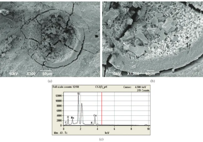 Figure 10. SEM image of (a) a pore filled with AAR products in a fragment of a bar made with sample C, (b) a detail of AAR products,  and (c) EDS analysis of the AAR products.