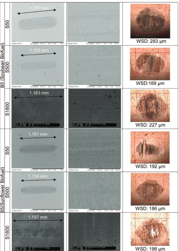 Figure 4. Continued...