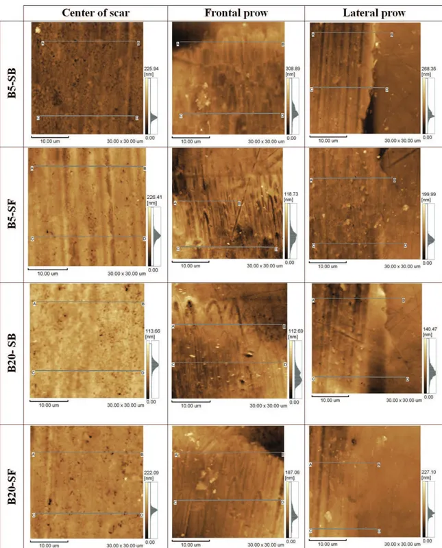Figure 8. Topographic disc scar images by AFM after lubricated contact with biodiesel blends: on the left, center of track; in the middle,  frontal prow; and on the right, lateral prow of track.