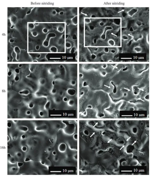 Figure 10. SEM images of the samples surface before (as-sintered) and after (as-nitrided) treatment, for nitriding times of 4, 8, 16 hours