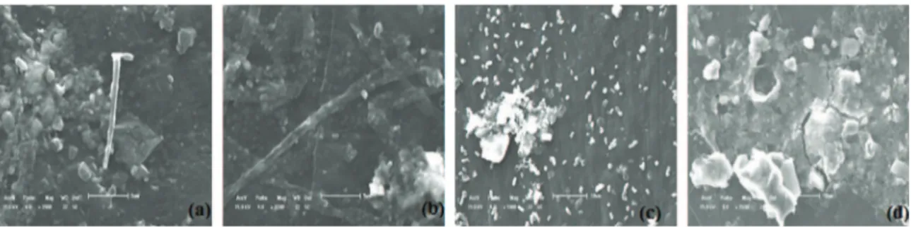 Figure 4. SEM micrographs of the surface of the PE and PE OX  samples after simulated soil, (a) and (b), hyphae formation, (c) complex  mixture of microorganism and (d) surface erosion.