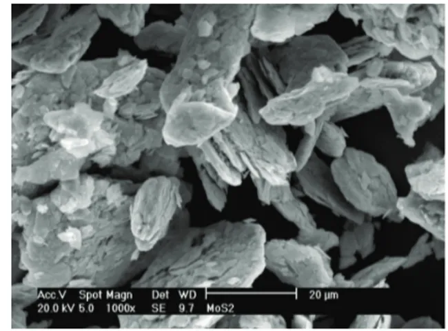 Figure 1. Morphology of powders of INCO123 nickel. Figure 2. Morphology of MoS 2  particles.