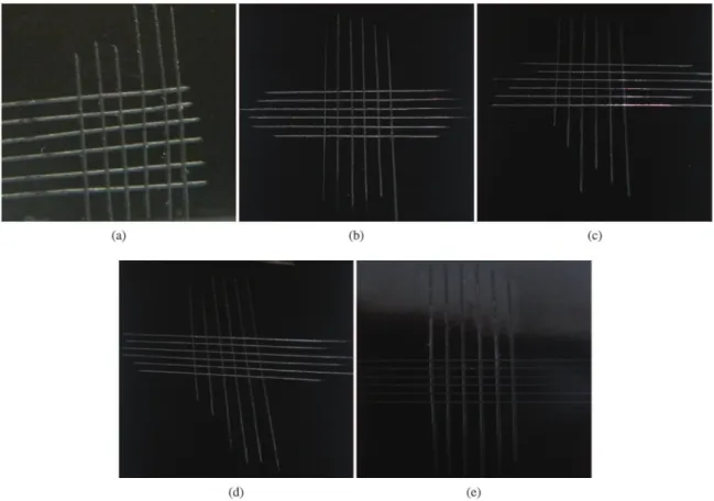 Figure 7. Pictures the samples subjected to adhesion test (a) BR, (b) CHT, (c) AFZ, (d) AHFZ and (e) ZPH.