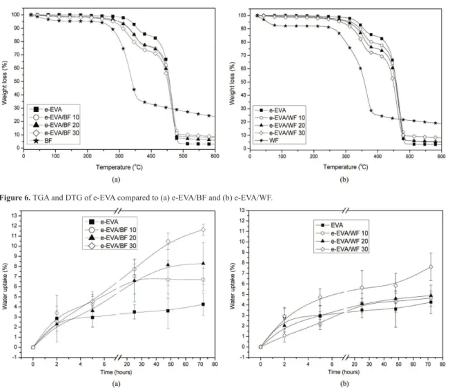 Figure 7. Water absorption of e-EVA and of expanded composites (a) produced with BF and (b) produced withWF.
