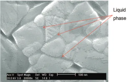 Figure 4. SEM micrographs of composition S sintered at 2.1 kW for 20 min.