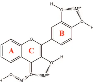 Figure 4. Binding sites in lavonoids for the transition metal.