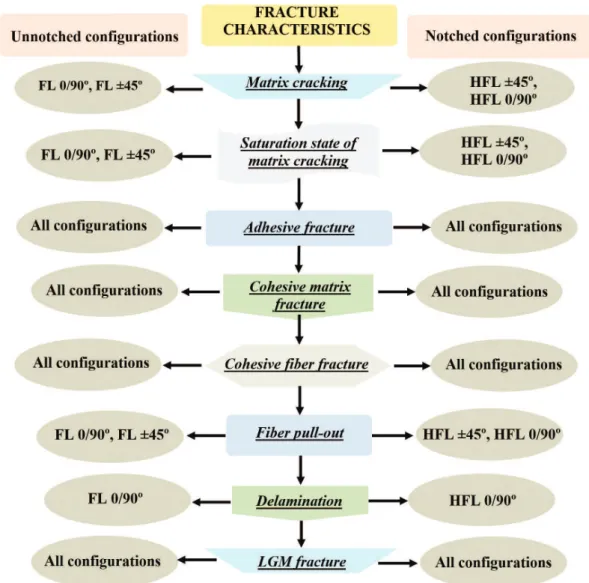 Figure 19. Comparison of damage mechanisms in the composites under study.