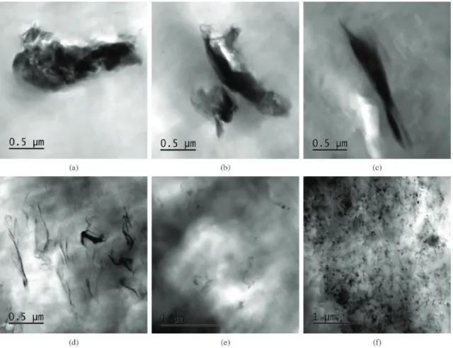 Figure 1 shows TEM images of the samples containing  clay and CNTs separately for both intercalation methods