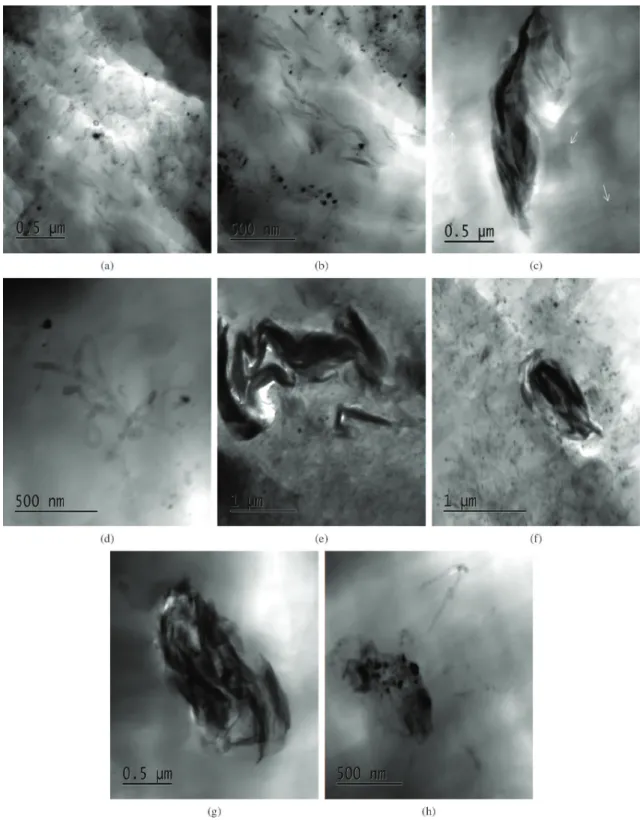 Figure 2. TEM micrographs of (a) and (b) PE30BNCs; (c) and (d) PE30bNCm; (e) and (f) PENaNCs; (g) and (h) PENaNCm.