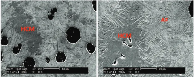 Figure 1. Microstructure of the samples partitioned at 300 °C during 2 minutes, showing the differences of microstructures around the  nodules (AF = ausferrite) and around the eutectic cells (HCM = high carbon martensite).
