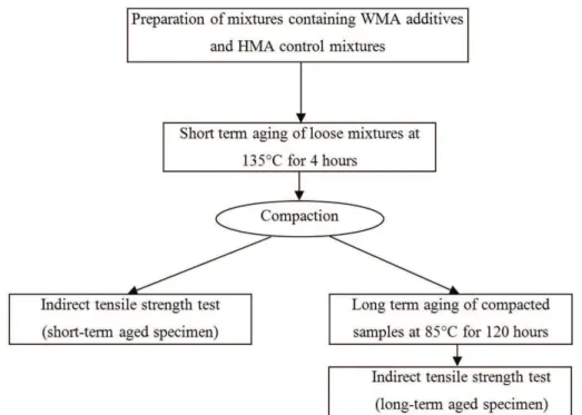 Figure 2. Short- and long-term conditioning lowchart.