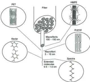 Figure 12. Micro and macro ibrillar structures of PET, HMPE, Kevlar   and UHMWPE(Spectra  ) ibers 48 .