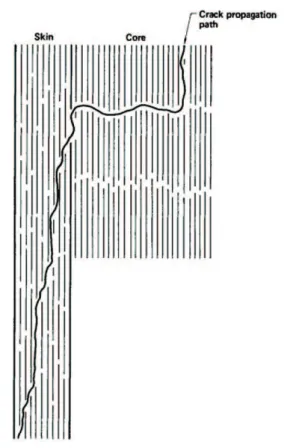Figure 24. The model of PPTA iber, by Northolt and Sikkema 55 .
