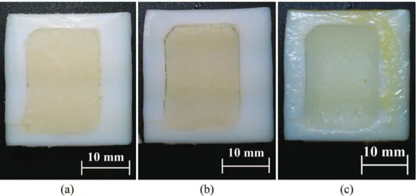 Figure 10. Visual aspect of samples exposed to Ar+10%O 2  plasma with 50 W of applied power