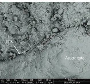 Figure 8. SEM micrograph of hybrid alkaline cement mortar.