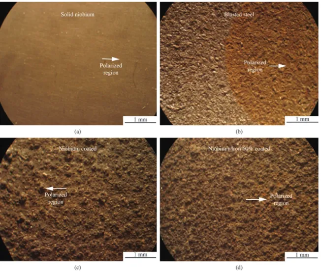 Figure 16. Image obtained with a low magnification microscopy for the samples in the boundary region between the polarized area in  contact with the electrolyte and the non-tested area.