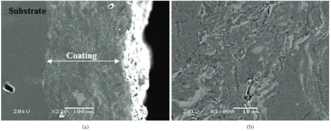 Figure 4. (a) Cross section of steel coated with niobium, where two distinct regions are observed in the coating: a porous and a compact  ones