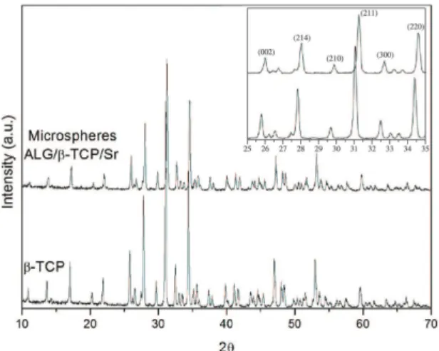 Figure 1. XRD of β-TCP and microspheres of ALG/β-TCP/Sr. Inset  corresponding to detail in the range of 2θ (25 to 35 o ).