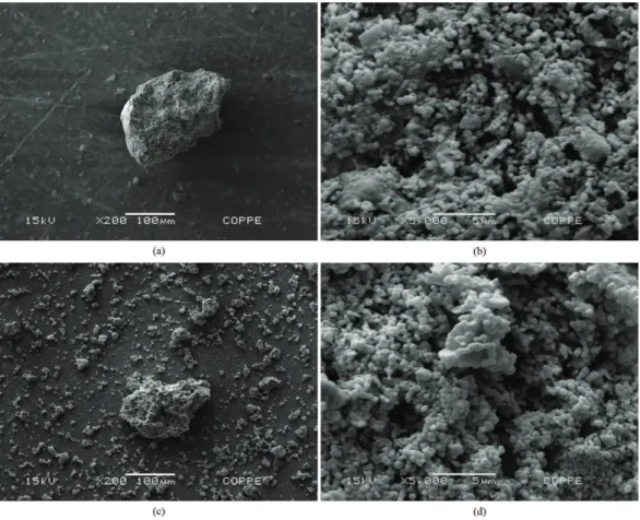 Figure 6. SEM images of the ALG/β-TCP/Sr microspheres after immersion in buffer solution at pH 7.4: (a) 7 days – original  magnification = 200 x; (b) 7 days – 5k of magnification; (c) 14 days – original magnification = 200 x and (d) 14 days – 5k of magnifi