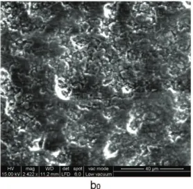 Figure 5. SEM and EDAX of L40Bg60 glass ceramic before (b 0 ) and after 6 (b 1 ) and 25 (b 2 ) days of immersion in SBF.