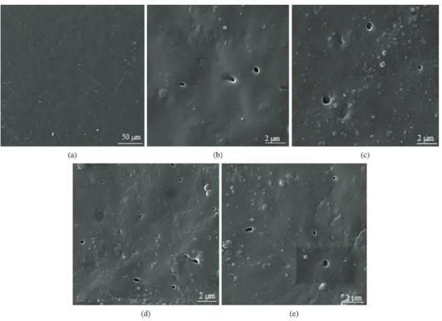 Figure 5. SEM images of Nano-composite samples after 100 h UV radiation. (a) pure PP, (b) PP5Ti, (c) PP10Ti, (d) PP30Ti and (e) PPDTi.