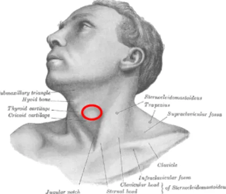 Figure 2: Placement of the stethoscope for cervical auscultation. The red circle corresponds to the placement  of the stethoscope