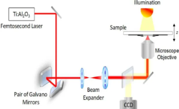 Figure 2. Experimental setup employed for microfabrication using  two-photon absorption polymerization.