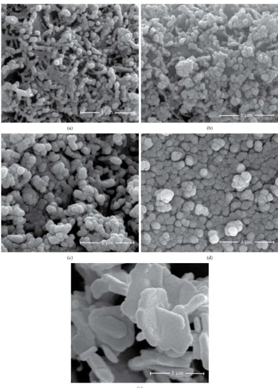 Figure 2. SEM micrographs of samples: (a) F1, (b) F2, (c) F3, (d) F4 and (e) F5.