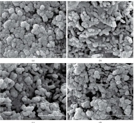 Figure 6. SEM micrographs of samples: (a) G1, (b) G2, (c) G3 and (d) G4.
