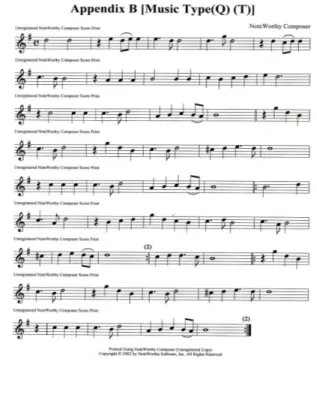 Figure 4. Music score of “Motet: Fera Pessima” 