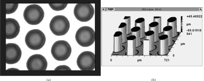 Figure 1. Microscopic view (a) and oblique proilometry plot (b).