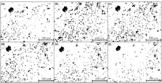 Figure 5. Alignment of the sequence from (a) until (f) of 2D sectioning for the 3D reconstruction of the self-reducing pellet.