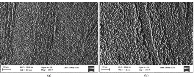 Figure 6. Microstructure detail of (a) H18 and (b) H24 conditions of AA1350 aluminum alloy, revealed in scanning electron microscope.