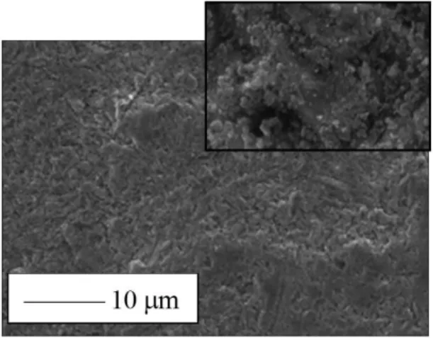 Figure 2. Potentiodynamic polarization curves of electrogalvanised  steel protected with the different conversion treatments in aerated  0.3 mol.L –1  Na 2 SO 4  solution, pH 10