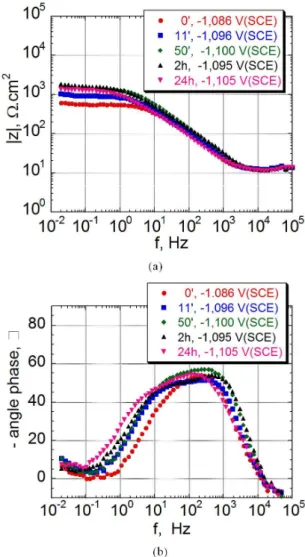 Table 2 shows that whereas the corrosion potential  (E corr ) of the electrogalvanised sheet panels covered with the  different conversion layers stabilized around –1 V/SCE, the  corrosion current density (i corr ) calculated by extrapolation of  the Tafel