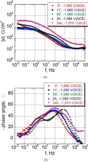 Figure 4. (a) Bode magnitude and (b) phase angle plots as a function  of immersion time in aerated 0.3 mol.L –1  Na 2 SO 4 , pH 10, solution,  for nitro-cobalt electrogalvanised steel coating – sample protected  with treatment B.