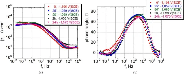 Figure 7. Visual aspect of the samples after 24 h immersed in aerated 0.3 mol.L –1  Na 2 SO 4  solution, pH 10, at room temperature.