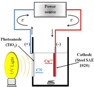 Figure 1. Schematic representation of the cell employed for photo‑