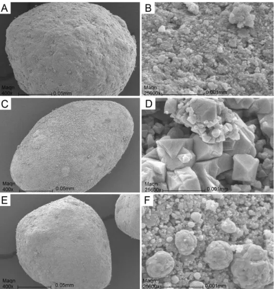 Figure 5. SEM micrographs of oxidised NiO/NiAl 2 O 4.  In the left micrographs at low magniication (400x), in the right the same particles  at high magniication (25600x)