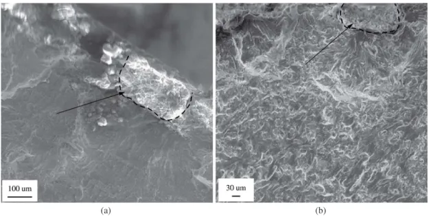 Figure 4. Fatigue crack nucleation sites from corrosion pits at the specimen surface (region marked with black arrows) (a) AA2524-T3  and (b) AA2198-T851, observed after conditioning and fatigue tests.