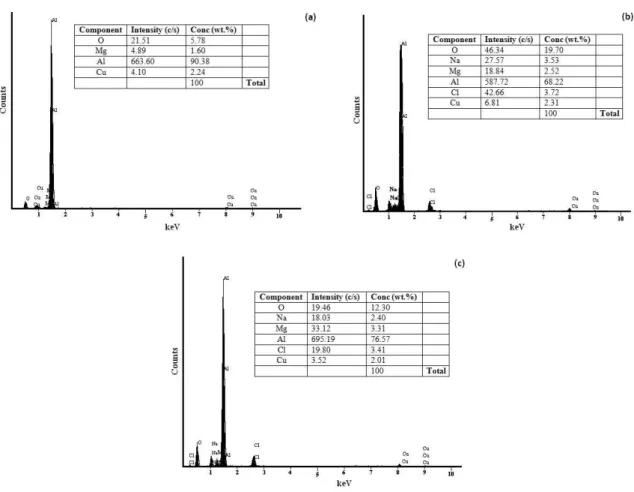 Figure 10. EDS spectrum of Al-2007 alloy surface: (a) before immersion; (b) after 2 h of immersion at 20 °C in 3.5% NaCl solution; 