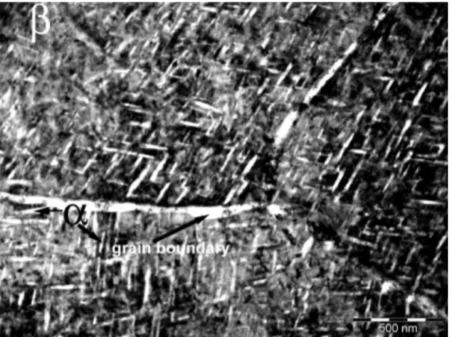 Figure 2. TEM image (bright-ield) of Ti-12Mo-13Nb alloy hot  swaged and aged at 500 °C/24 h showing a ine distribution of α 