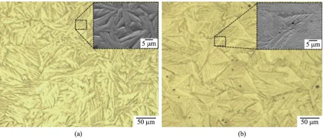 Figure 3  shows images of optical and electronic scanning  micrographs for heat-treated samples with HT1-24 h and  HT2-24 h