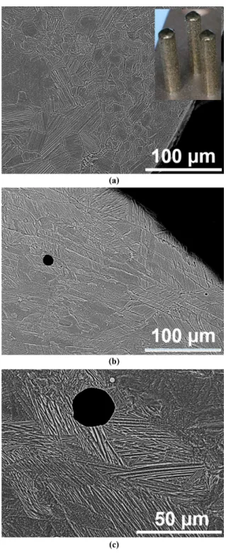 Figure 1. SEM image of the powder with size in the range  45 – 75 μm. Spherical and non-spherical particles are seen