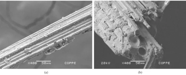 Figure 2 shows: (a) the epoxy composite production  scheme with 5 layers of aligned ibers and (b) a inished  composite plate