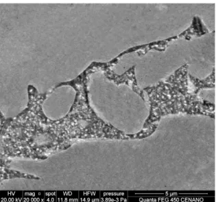 Figure 8. Evolution of the degree of sensitization with aging time  at 550 °C for base metal and stirred zone.