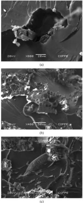 Figure 9. SEM fractographs of bend tested epoxy matrix composites  reinforced with (a) 10 vol%; (b) 20 vol% and (c) 30 vol% of malva  ibers.