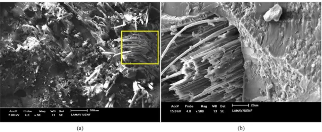 Figure 6. SEM fractographs of Charpy impact tested epoxy matrix composite reinforced with 30 vol% of giant bamboo ibers: (a) 50× 