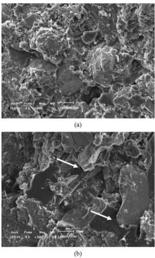Table 2. Amsler wearing associated with thickness reduction of  EPRAPs and Stellar TM  .